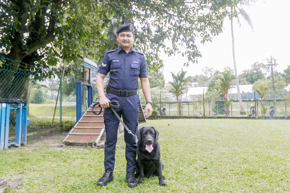 Noble is the Royal Malaysia Police’s (PDRM) electronic storage detection (ESD) specialist in the K9 Unit. — Picture by Raymond Manuel