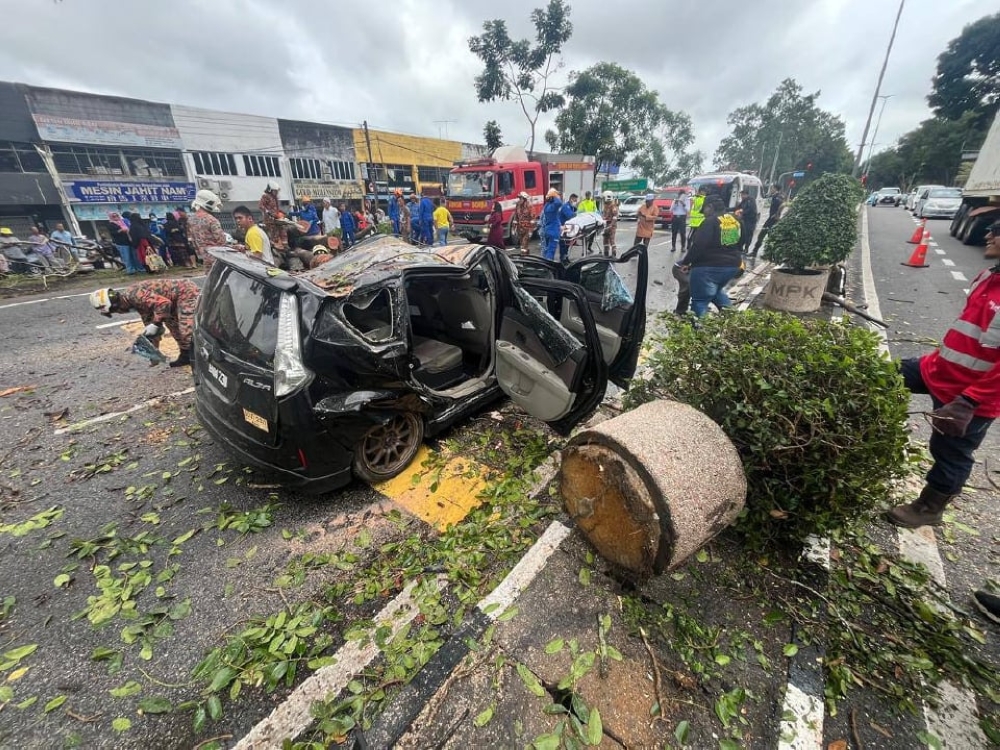 Close call for four as falling tree strikes car in Kluang | Malay Mail