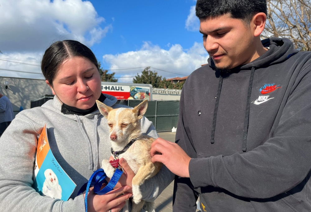 Erick Rico (right) and Jaylene Rosalez, who recognised their Chihuahua mix Bombon from a social media post of the Pasadena Humane, are reunited with him at the animal shelter in Pasadena, California, on January 17, 2025. — AFP pic