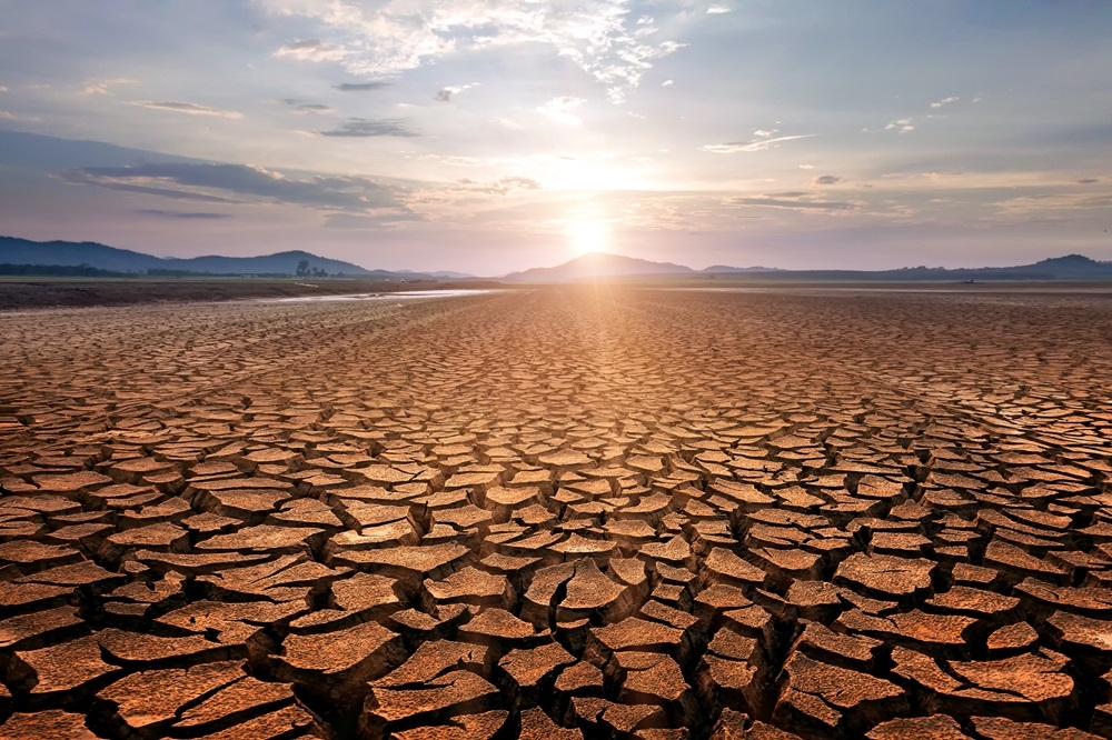 Homo erectus was able to survive punishingly hot and dry desert more than a million years ago, according to a new study. — Phonix_a Pk.sarote/Shutterstock pic