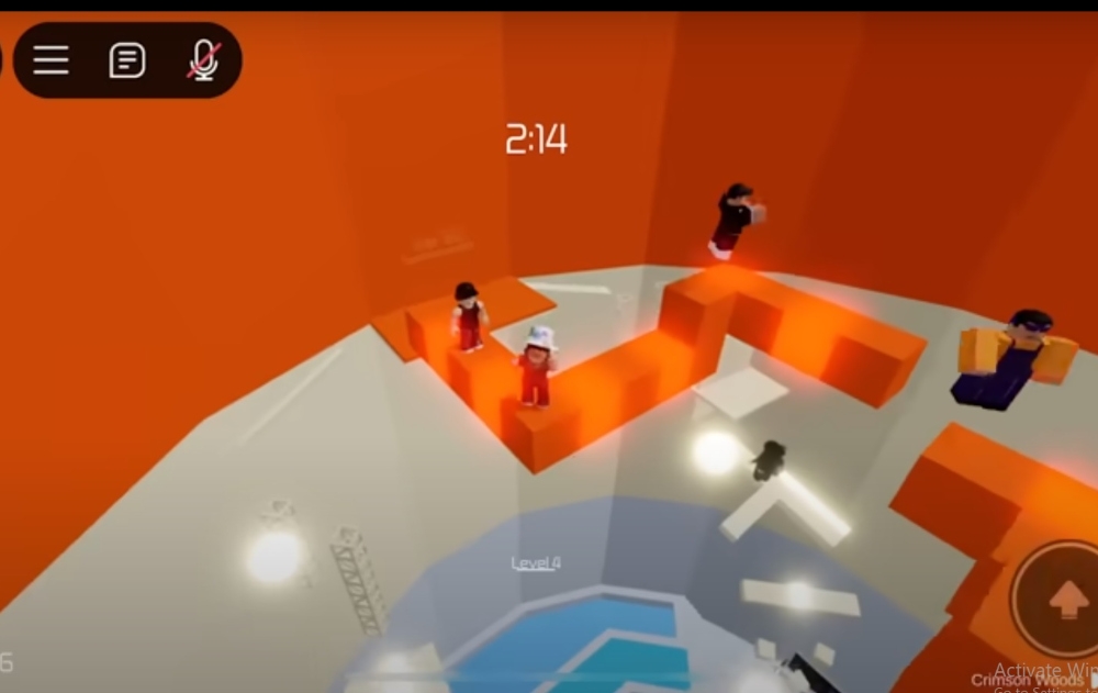 The attraction for young people is the millions of virtual experiences they can have — from raising and dressing up virtual pets, to playing an online game of hide and seek using GPS. Kids can even develop their own games for others to play.