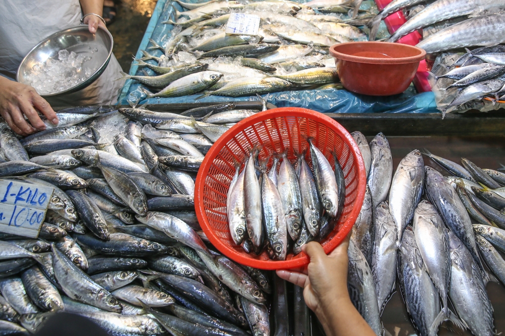 Its director Muhamad Fadlee Hassan said Pasar Tani Padang Astaka Chukai, also known as the Pasar Pagi Jalan Padang Astaka Chukai, which has been linked to the incident on January 17, is managed by a hawkers’ association, not FAMA. — Picture by Yusof Mat Isa