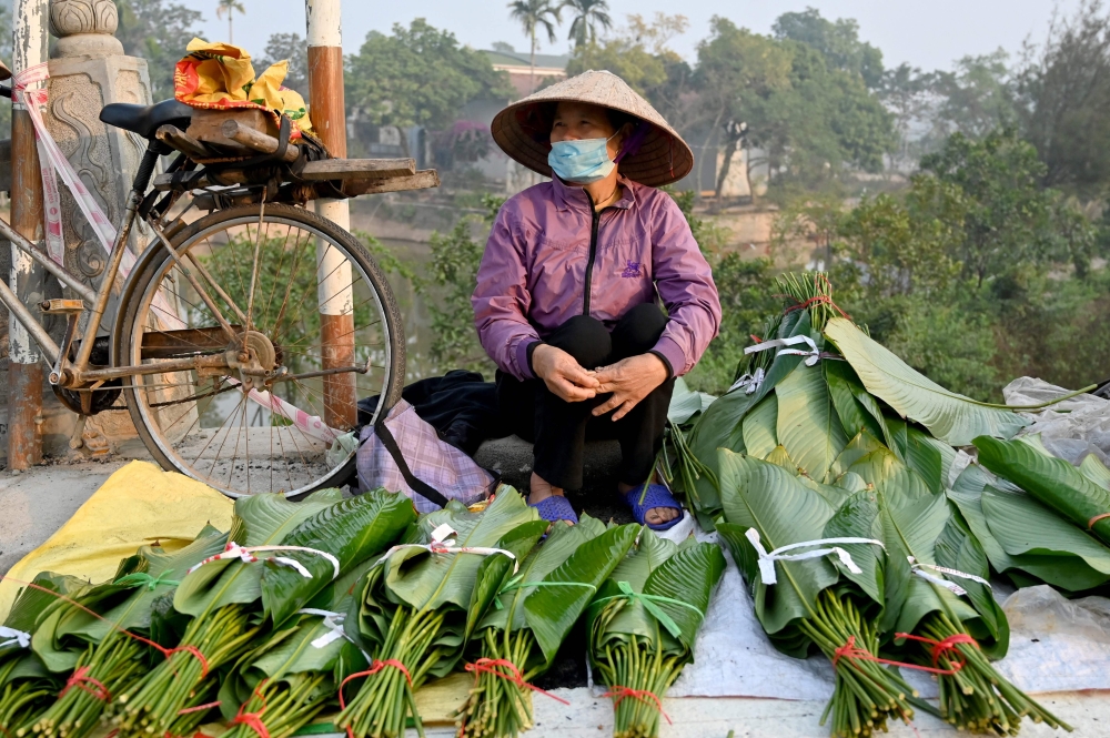Vendors sell ‘dong’ leaves used to wrap ‘banh chung, a traditional Vietnamese delicacy for celebrations like Tet (Vietnamese new year), at a market in Hanoi. — AFP pic