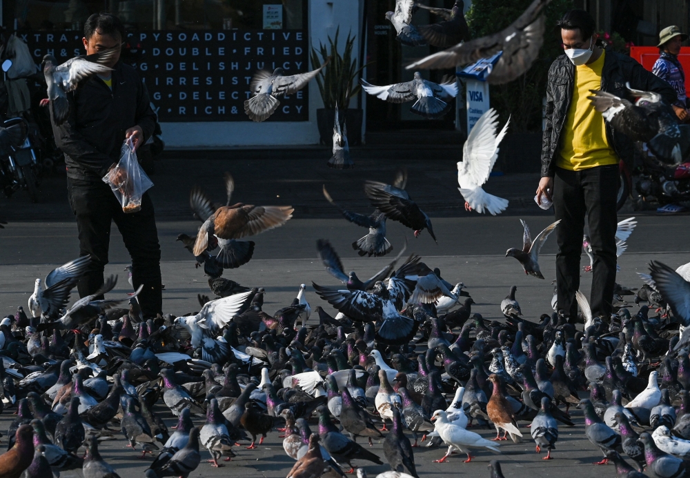 Men feed pigeons in front of Royal Palace in Phnom Penh on February 24, 2023. — AFP pic