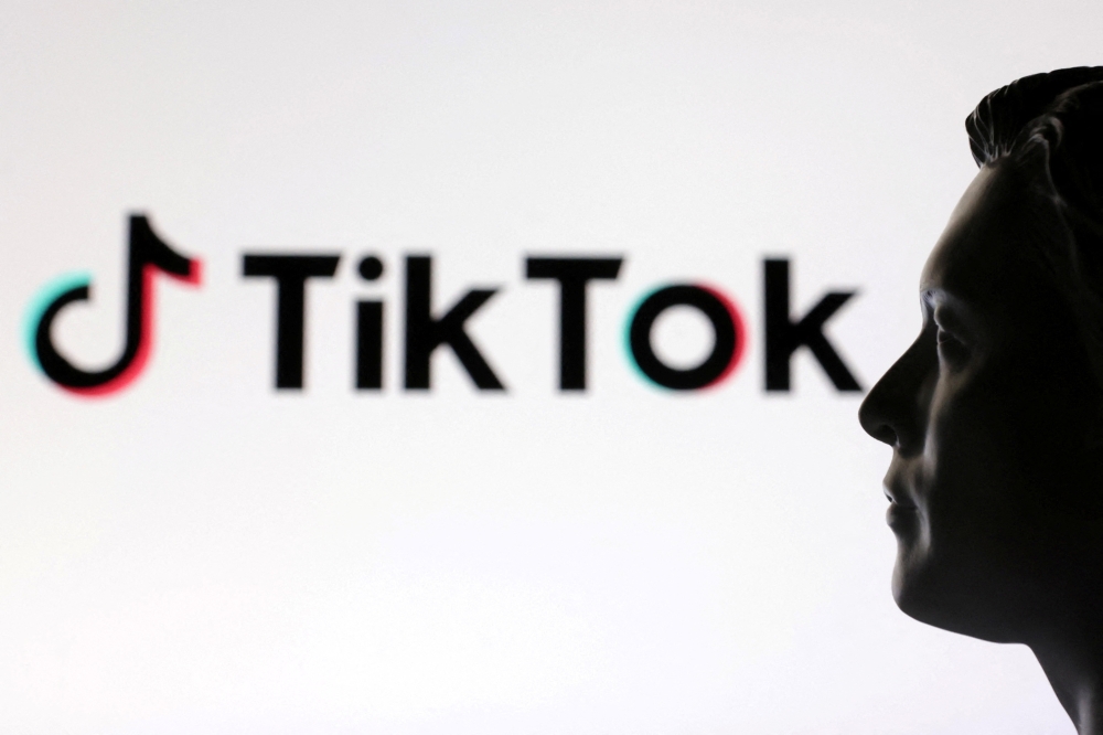 A 3D-printed miniature model of Elon Musk and the TikTok logo are seen in this illustration taken January 23, 2025. — Reuters pic 