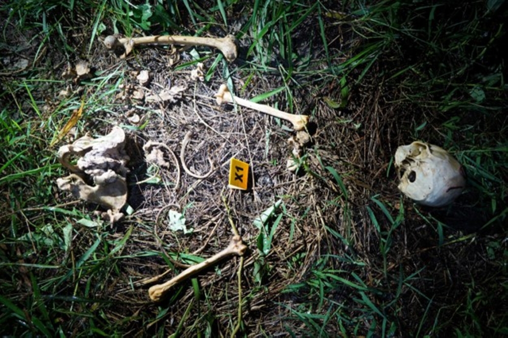 File picture of a skull and bone fragments were found at Mile 7 Miri-Bintulu road in the past. Police advised the public not to speculate about the discovery. Anyone with further information is urged to contact the Kuala Terengganu district police headquarters. — Picture courtesy of PDRM