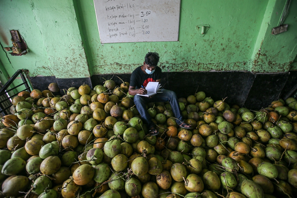 Coconut farmers began selling more young coconuts after demand rose during the hot spell last May. — Picture by Farhan Najib