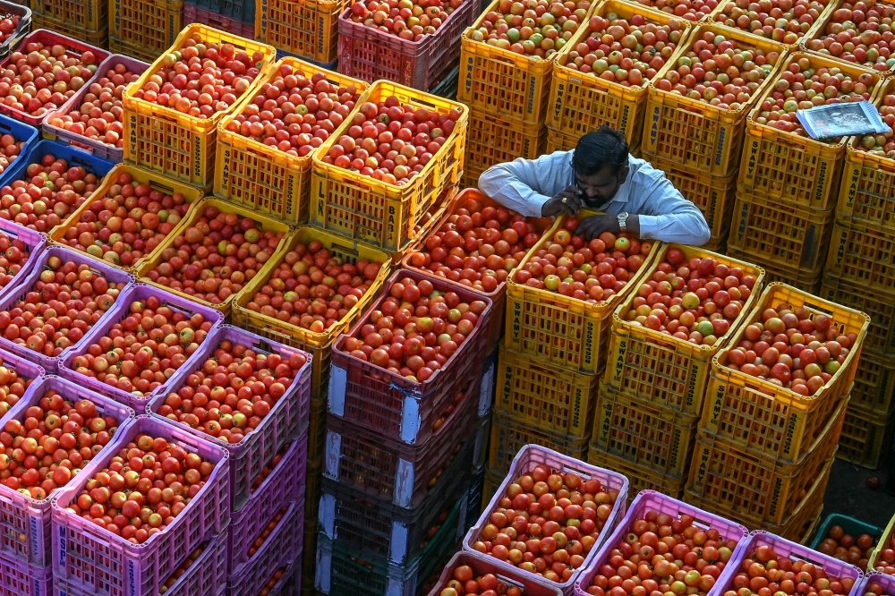 A trader selling tomatoes speaks on his mobile phone at a wholesale vegetable market in Hyderabad February 1, 2025. — AFP pic