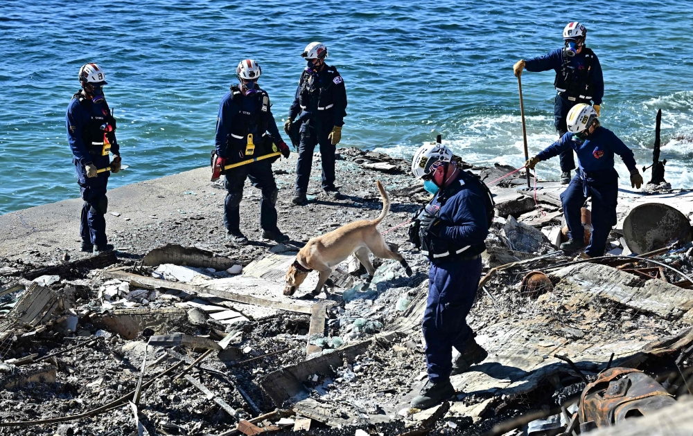 Search and rescue dog Tulla leads the way to find human remains from fire-ravaged beachfront properties along the Pacific Coast Highway in Malibu. — AFP pic