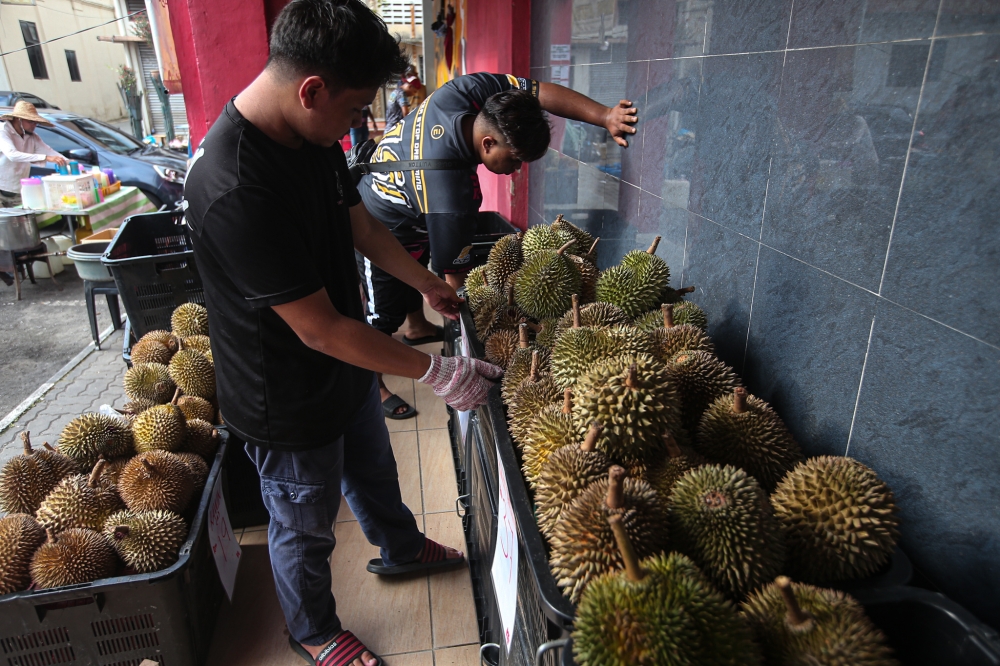 Citing data from the International Trade Center, BMI said Malaysian fresh durian exports to China totalled US$4 million in August, September, and October 2024. — Picture by Farhan Najib
