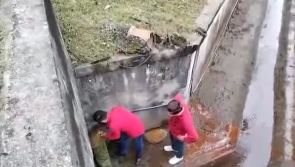 A screengrab from the widely shared video of the alleged incident.