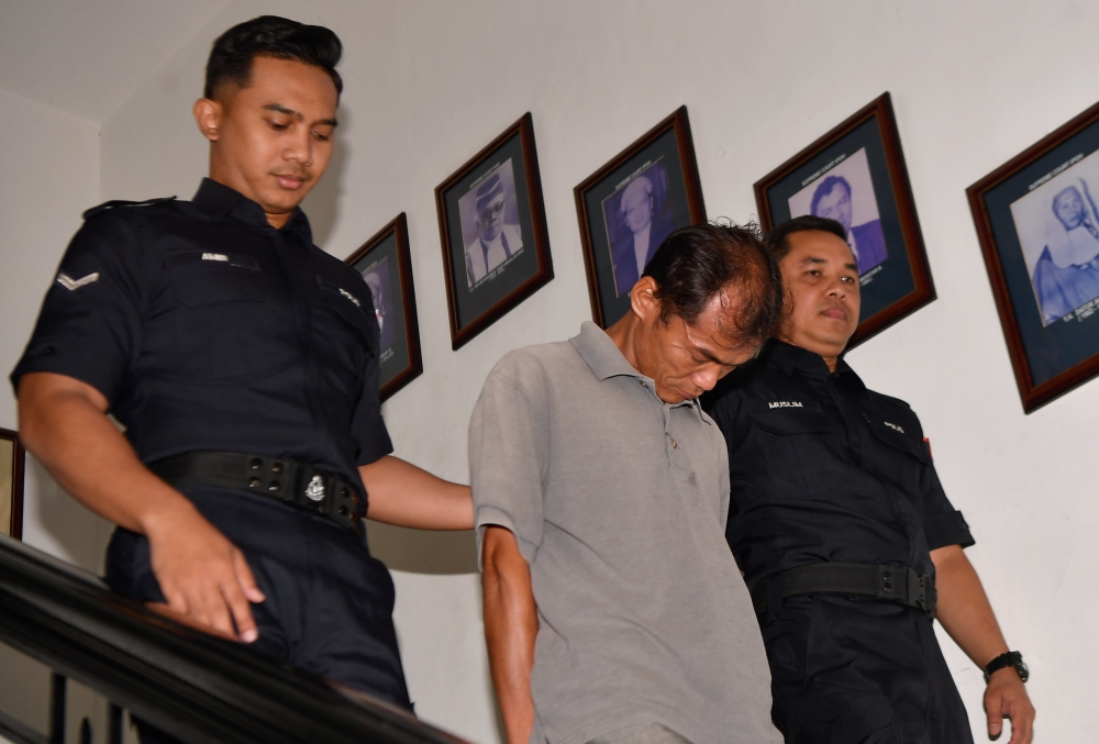 Hew allegedly claimed he hit the male mixed-breed Pit Bull with a hammer because the dog had bitten him. — Bernama pic