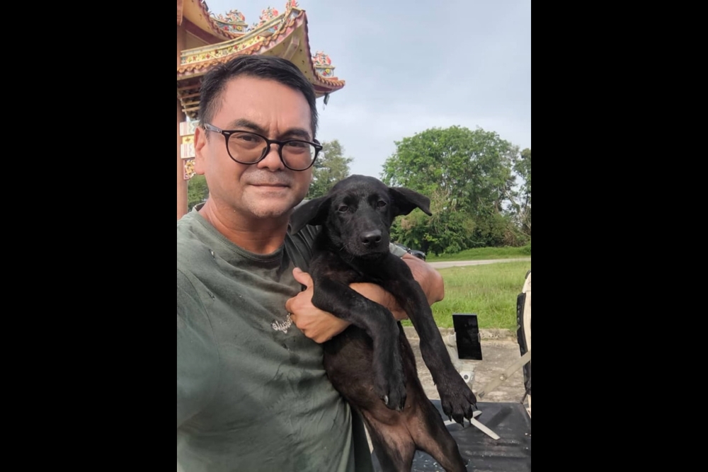 For more than 10 years t Francis Ngu has been doing charitable work, including feeding 70 to 80 stray dogs around Bintulu town, with the store’s proceeds. — Picture via Facebook