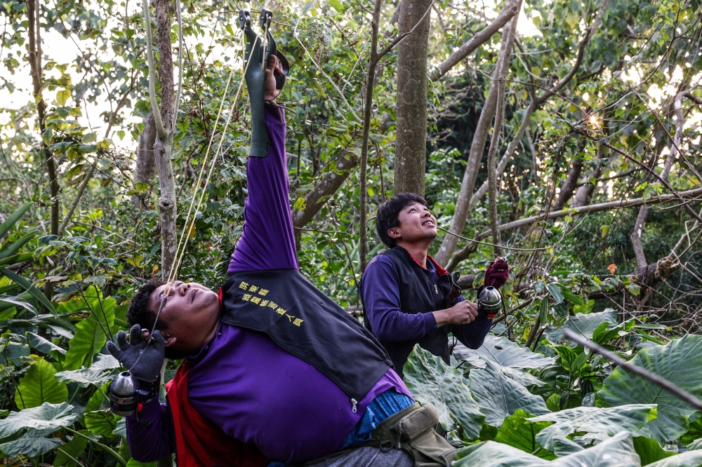 Wu Cheng-hua (L) aiming his slingshot at an iguana in a tree. — AFP pic