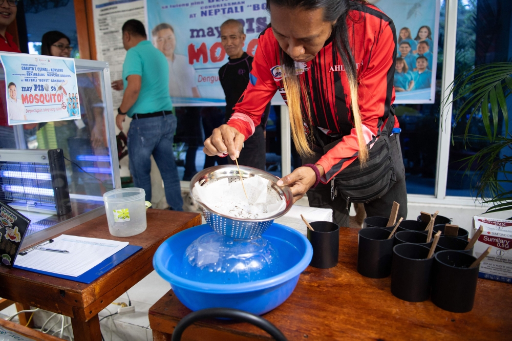 A village officer examines a strainer filled with mosquito larvaes for counting at the start of a program as part of the village program to eradicate dengue in Manila on February 19, 2025. — AFP pic