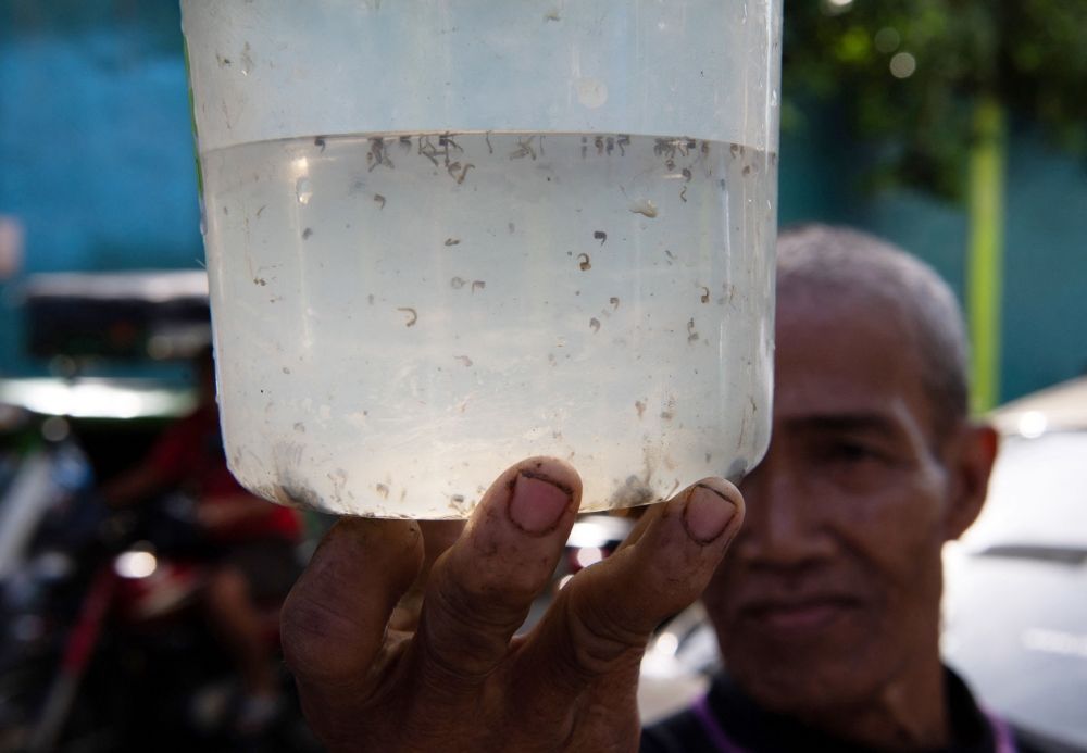 Resident Miguel Labag shows a plastic container with mosquito larvaes as he prepares to hand them over in exchange for pesos as part of the village program 'peso for a mosquito' to eradicate dengue at a village in Manila on February 19, 2025. — AFP pic