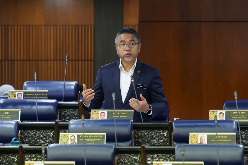 Deputy Defence Minister Adly Zahari speaks in the Dewan Rakyat on Feb 12, 2025. — Bernama pic