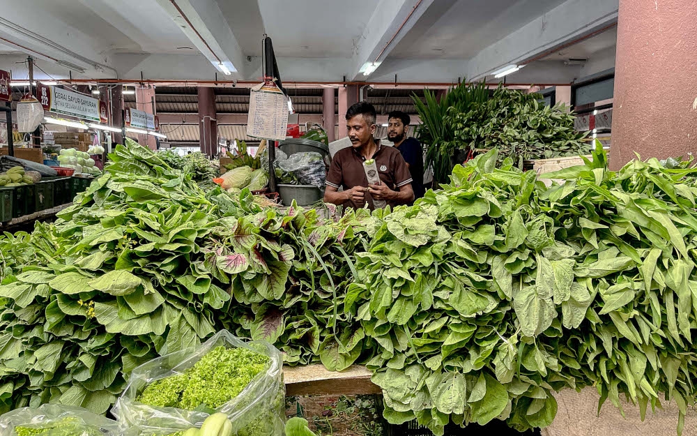 Vegetables are currently in surplus at markets after the Chinese New Year holidays and farmers are expecting that the demand will slump. — Picture by Sayuti Zainudin