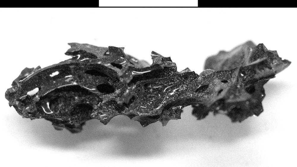 This handout photograph released by the Univesita di Napoli Federico II on February 27, 2025, shows a fragment of organic glass of an ancient Roman’s brain, which a volcanic eruption turned to glass. A young man was lying in his bed when a viciously hot cloud of ash swept down from the erupting Mount Vesuvius and turned his brain to glass almost 2,000 years ago. — Univesita di Napoli Federico II handout pic via  AFP  