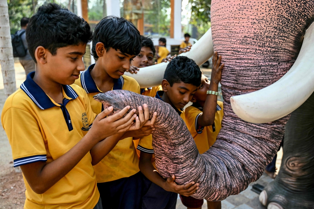School boys look at the trunk of a robotic elephant newly provided by the Voice for Asian Elephants Society. — AFP pic
