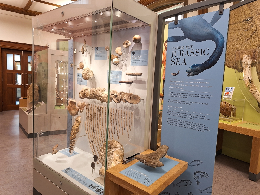 What role can museums play for people living with or diagnosed with dementia? A view of The Norris Museum in St Ives, Cambridgeshire, UK. — Picture by Ida Lim