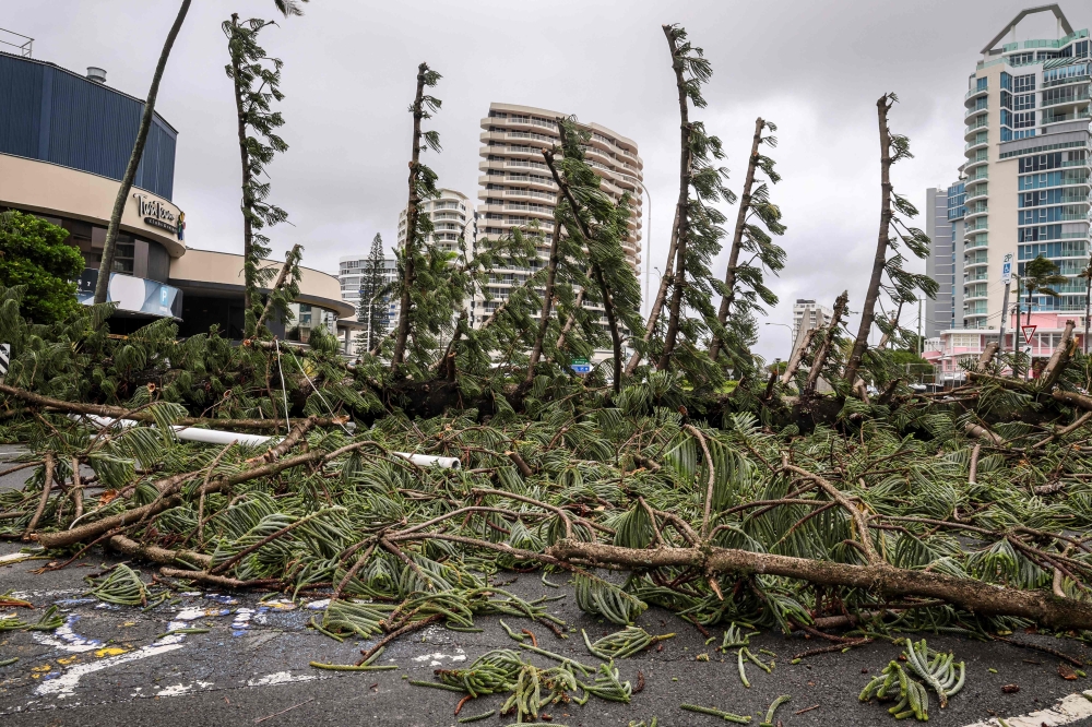 A fallen tree sits across a road in front of buildings in Coolangatta on March 7, 2025. — AFP pic