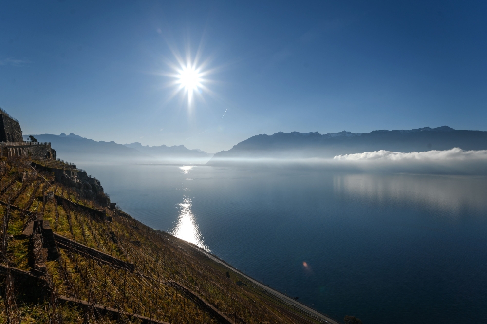 The sun shines above the vineyard terraces of Lavaux, a UNESCO world heritage sites, on the banks of Lake Geneva in Chexbres, western Switzerland. — AFP pic