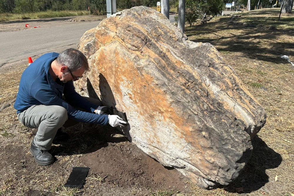 A trove of fossilised dinosaur footprints has been found on a slab of rock gathering dust inside an Australian school, scientists said on Wednesday. — AFP pic/University of Queensland