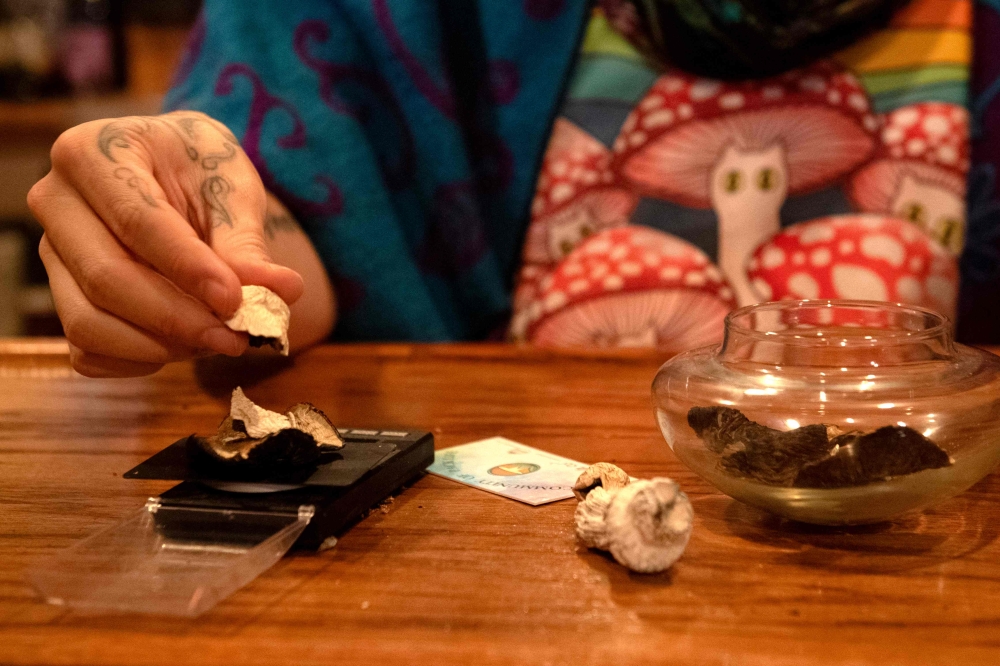 Long associated with hippie counter-culture, magic mushrooms remain illegal in much of the United States. — AFP pic