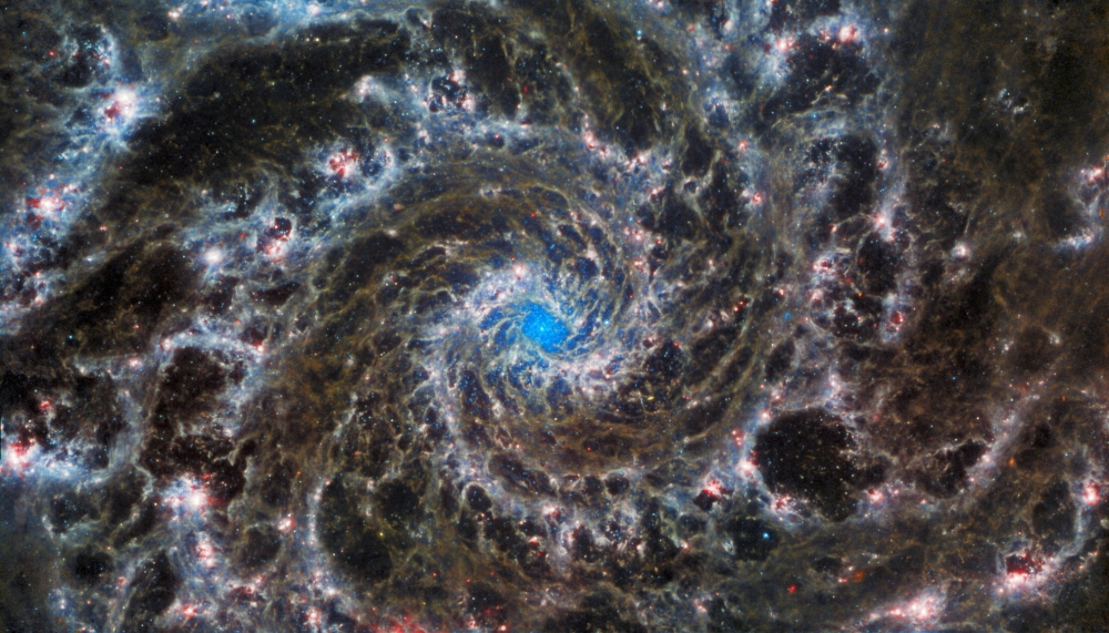 View of M74, otherwise known as the Phantom Galaxy, taken by the NASA/ESA/CSA James Webb Space Telescope, in this handout image released August 29, 2022. — Reuters pic