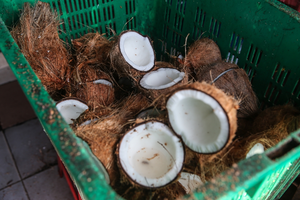 DOSM said the higher prices of fresh coconut milk and instant coconut milk, which climbed 27.0 per cent and 8.7 per cent, respectively, in February 2025 (January 2025: 21.9 per cent and 3.8 per cent), also contributed to the rise in food-at-home inflation. — Picture by Yusof Mat Isa