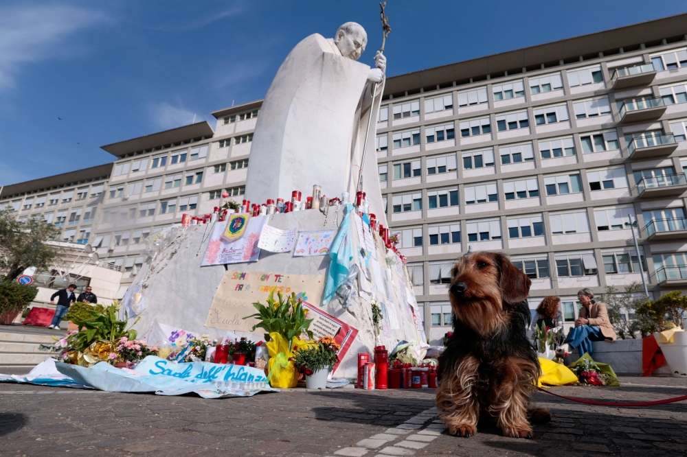 A dog stands near the statue of late Pope John Paul II at the Gemelli Hospital, where Pope Francis is admitted for a treatment, in Rome, Italy, March 21, 2025. — Reuters pic