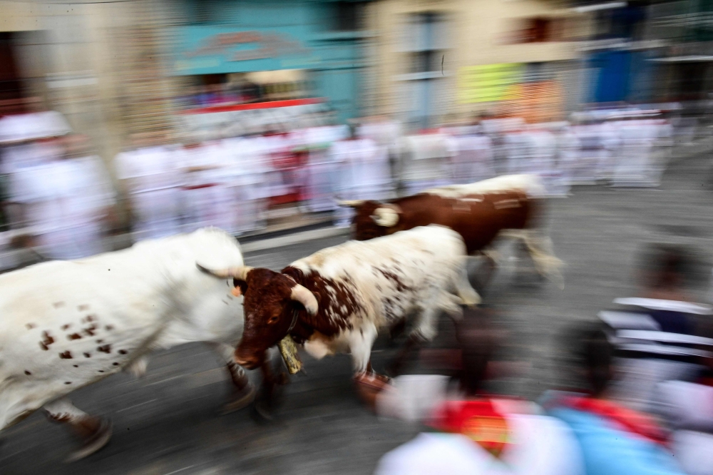 Participants run ahead of bulls during the bull-run of the San Fermin festival in Pamplona, northern Spain, on July 7, 2023. — AFP pic