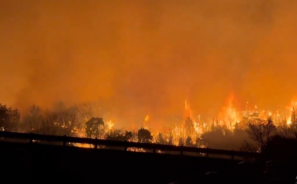The wildfires spread across 128 hectares in Ehime and 250 hectares in Okayama.