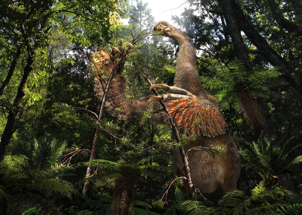 A life reconstruction of the Cretaceous dinosaur Duonychus tsogtbaatari, whose fossils were unearthed in Mongolia. — Reuters pic/Masato Hattori