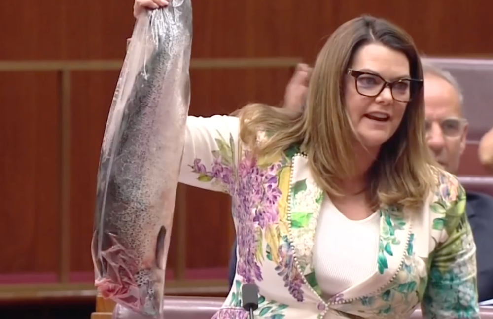 A screengrab of Greens Senator Sarah Hanson-Young brandishing a salmon in the Australian Senate today.