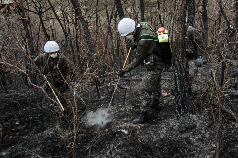 Soldiers take part in an operation in the wildfire-affected forest to locate and fully extinguish any remaining embers in Yeongyang. — AFP pic