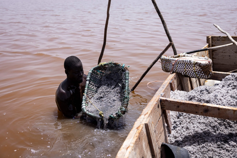 A salt harvester holds a basket filled with the salt collected from the crust of the bottom of Lake Retba, known as the Pink Lake, in Senegal on March 19, 2025. — AFP pic