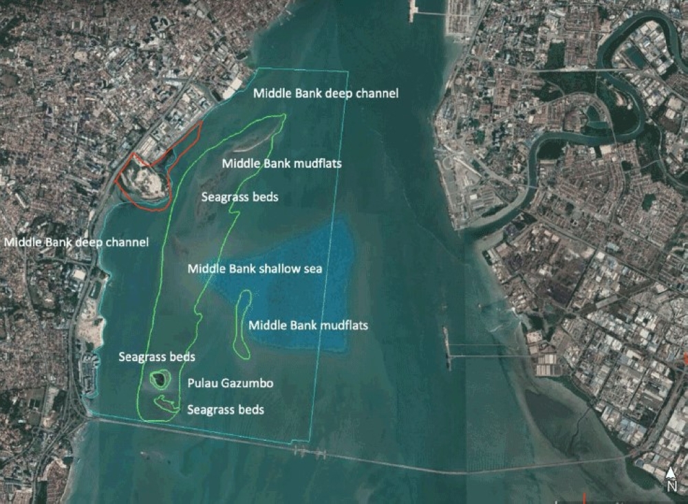 The red outline was added to approximate the extent of the reclamation site. — Picture courtesy of Penang Institute