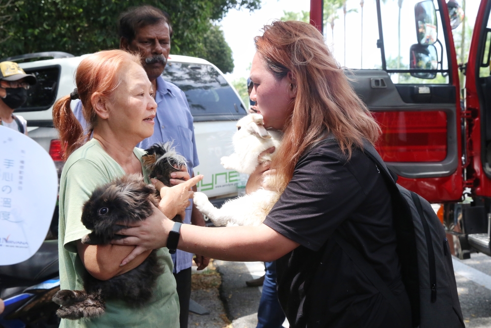 Yap, holding her rabbit and guinea pig that were rescued by Shah Alam volunteer firefighters. — Picture by Choo Choy May