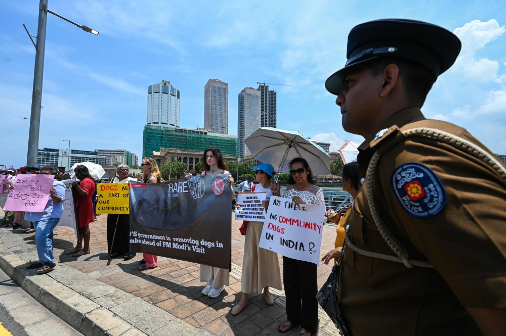 Sri Lankan animal rights activists take part in a demonstration in Colombo today to protest the round-up of stray dogs a day ahead of a visit by Indian Prime Minister Narendra Modi. — AFP pic