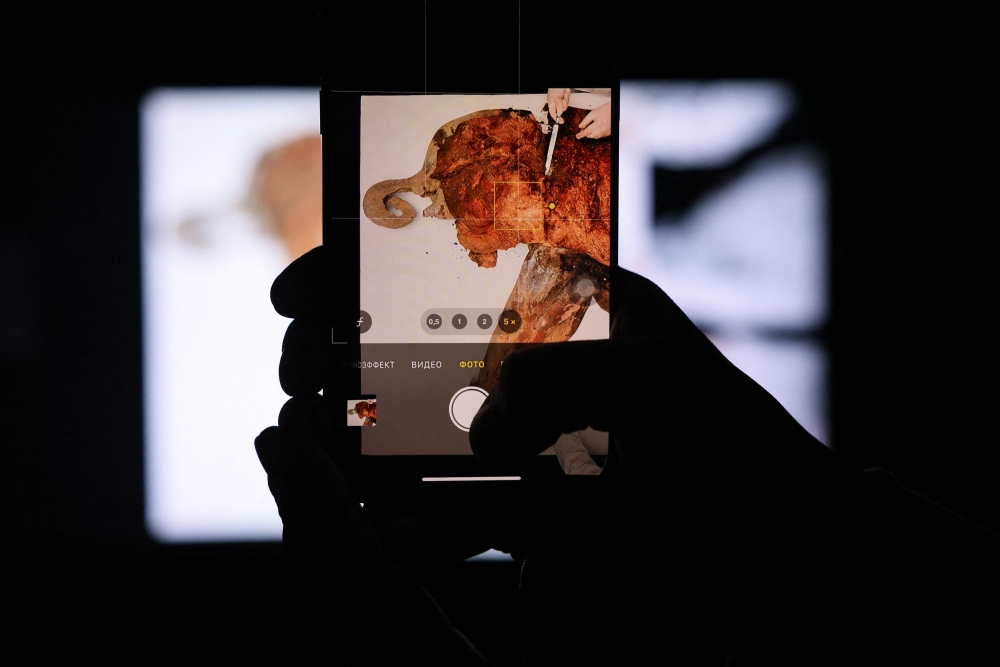 The carcass, which was dug up past summer near the Batagaika research station in the permafrost-covered region of Yakutia, weighs 180kg and is 120cm tall and 200cm long. — AFP pic