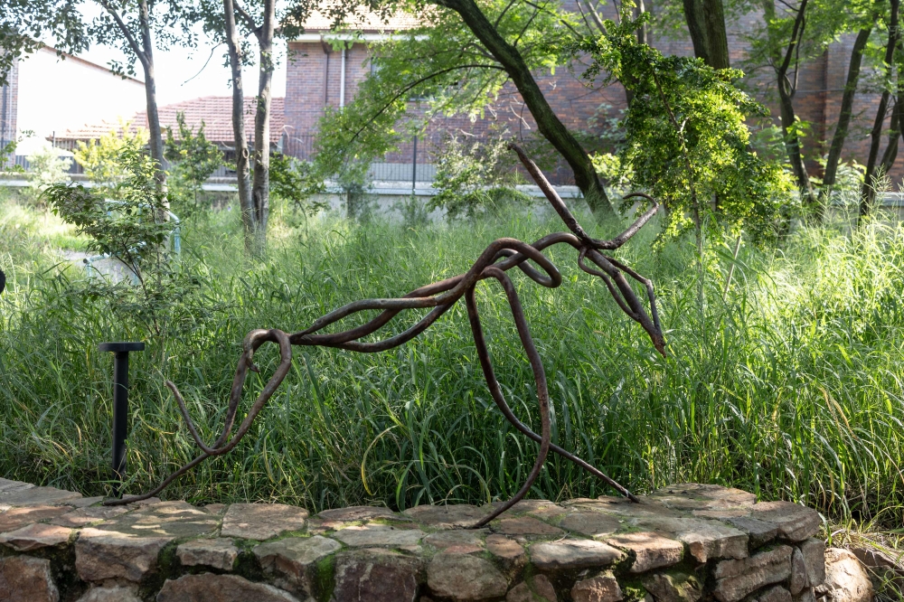 A general view of an artwork by South African artist Hannelie Coetzee at her studio in Johannesburg on March 26, 2025. They are often disparaged as ugly, sly and cruel scavengers but for South African artist Hannelie Coetzee, hyenas are symbols of female power and the normalisation of queerness. — AFP pic