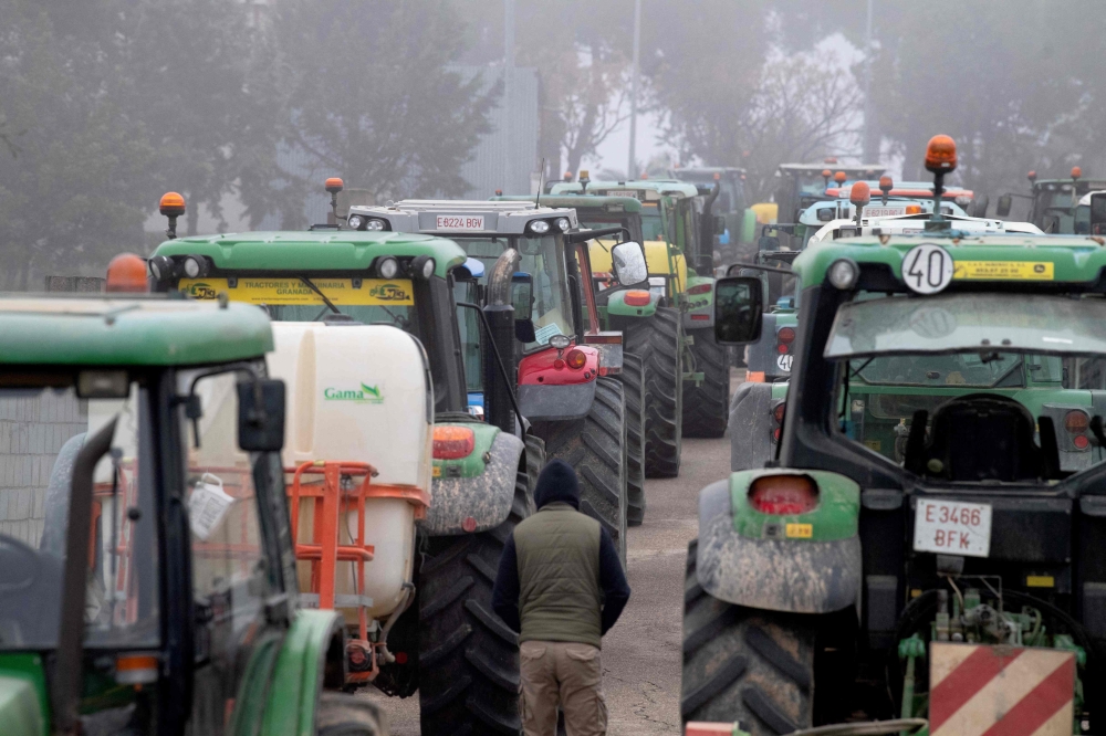 Tractors gather as olive trees owners demonstrate to save their plantations. — AFP pic