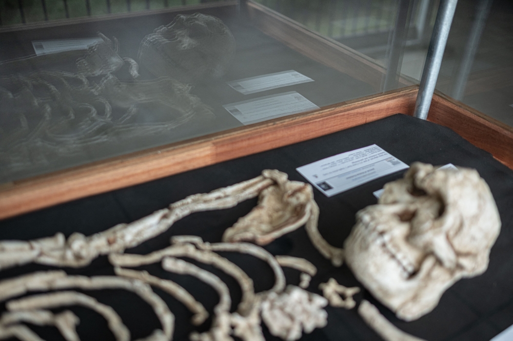 The osteological reproduction of the ‘Little Foot’ fossil skeleton at the Sterkfontein caves exhibit located within the Cradle of Humankind Unesco World Heritage Site in Krugersdorp near Johannesburg on April 15, 2025. — AFP pic