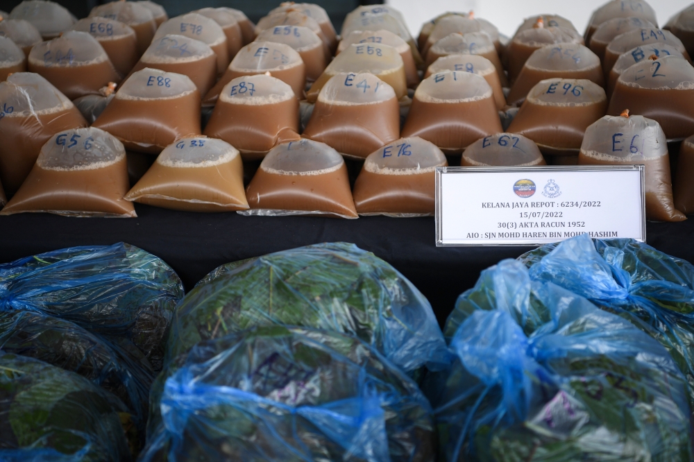Police raided a house in Jalan Kelicap, Penang, arresting two men and seizing RM3,400 worth of ketum juice and leaves yesterday. — File picture via Bernama 
