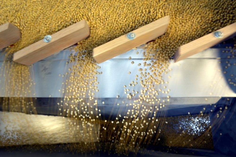 Japan has been hit with 24 per cent levies on its exports, including soybeans (seen being processed here), to the US although they are currently paused for 90 days. — Reuters