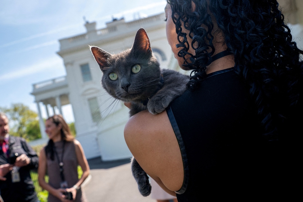Sophie, a house cat, is held by a member of the White House press corps after it made its way through a security fence at the White House in Washington, D.C., U.S., April 18, 2025. — Reuters pic