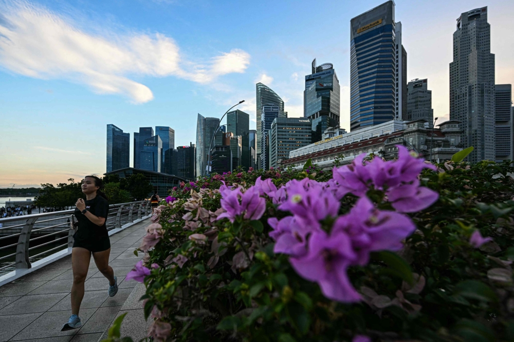 As Singapore gears up for its next general election, political parties are setting out contrasting ideas on key national issues such as fiscal policy, cost of living, housing and foreign manpower. — AFP pic