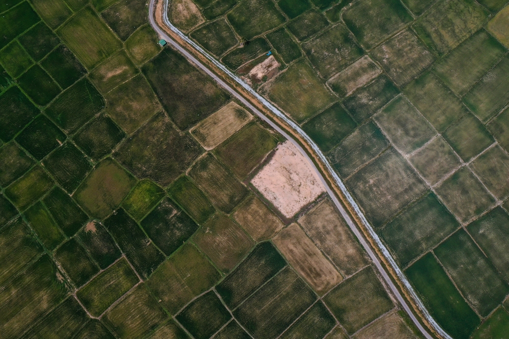 Malaysia and Indonesia are exploring plans for large-scale plantations in Central Kalimantan and South Papua, alongside cross-border agricultural cooperation in West and North Kalimantan. — Bernama pic